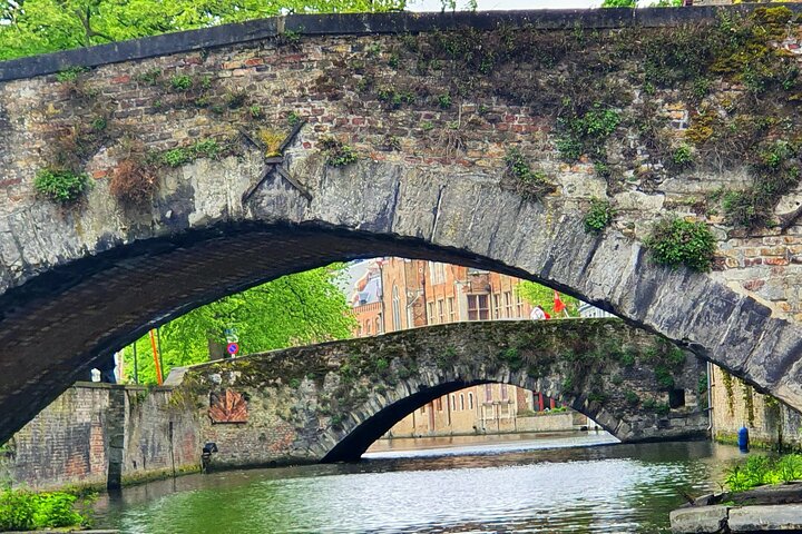 Guided boat trip and walk