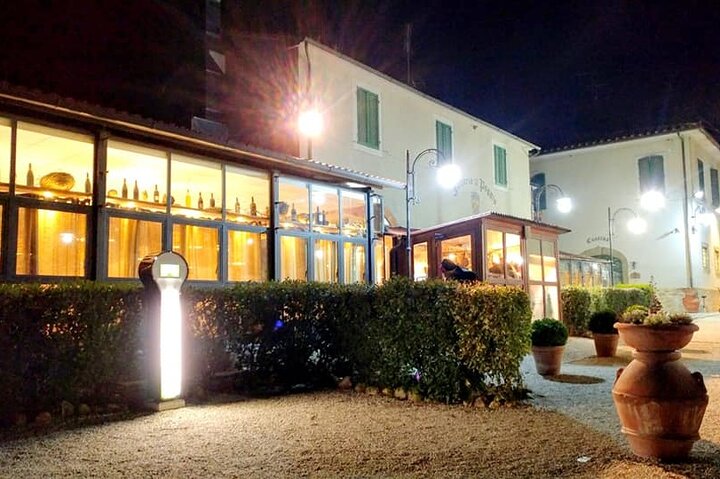 Wine Experience in farm vineyard & winery from Montecatini