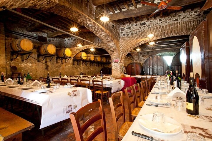 Wine Experience in farm vineyard & winery from Montecatini