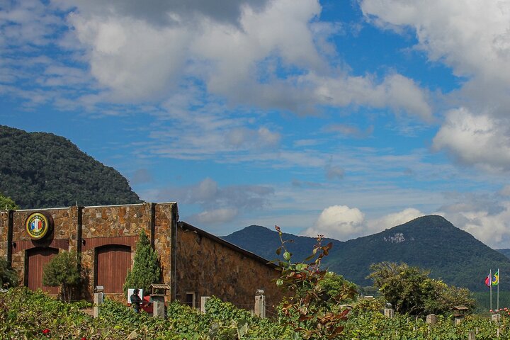 Jolimont Winery Tour - Visitation and Tasting - Canela RS
