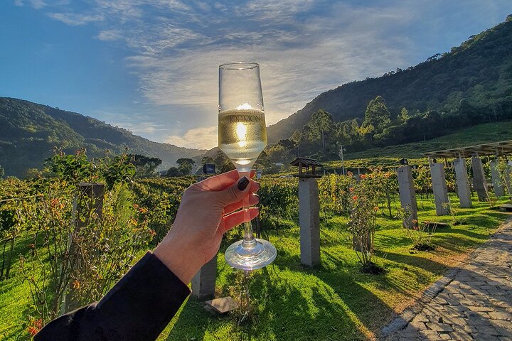 Jolimont Winery Tour - Visitation and Tasting - Canela RS