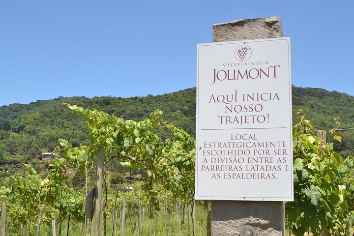 Jolimont Winery Tour - Visitation and Tasting - Canela RS