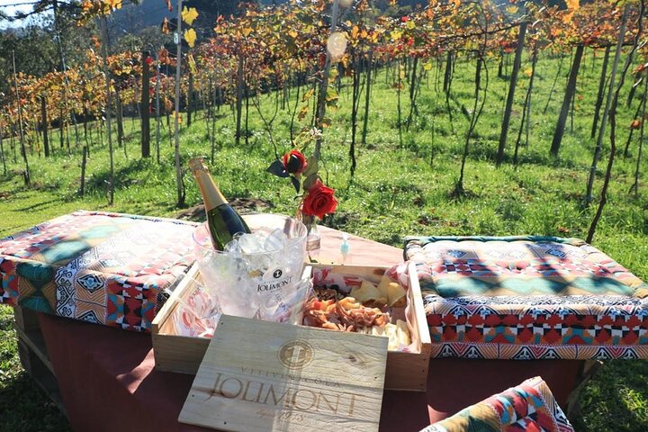 Jolimont Winery Tour - Visitation and Tasting - Canela RS
