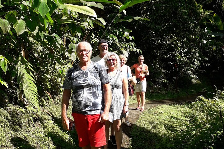 Half-Day Nature and Panorama Tour in Martinique