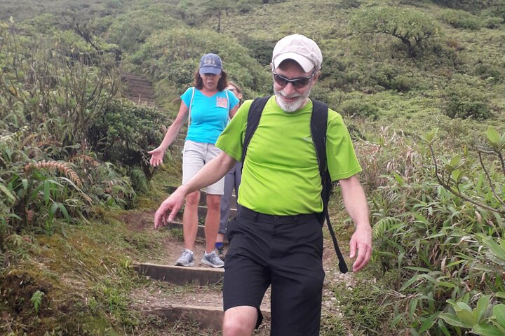 Half-Day Nature and Panorama Tour in Martinique