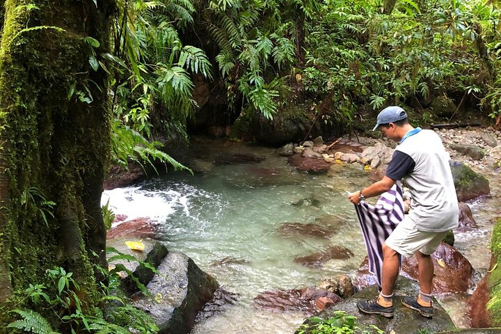Half-Day Nature and Panorama Tour in Martinique