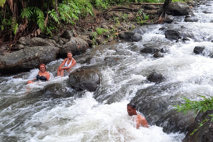 Half-Day Nature and Panorama Tour in Martinique