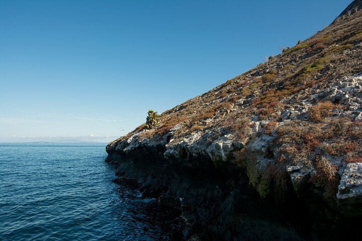 Galapagos First Class 5 Day Package with Yacht Day Tours