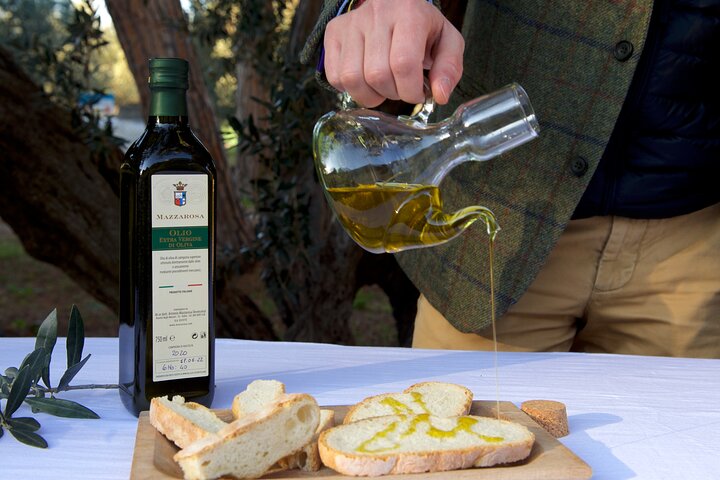 Private Food and Wine Tour in the Cellar with Tastings
