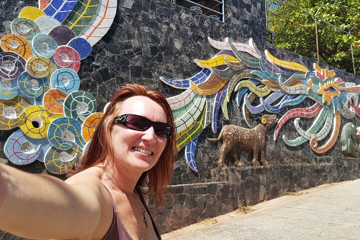 4 or 6Hr Discover Acapulco With a Fun Guide, Diver Show,Mex Lunch