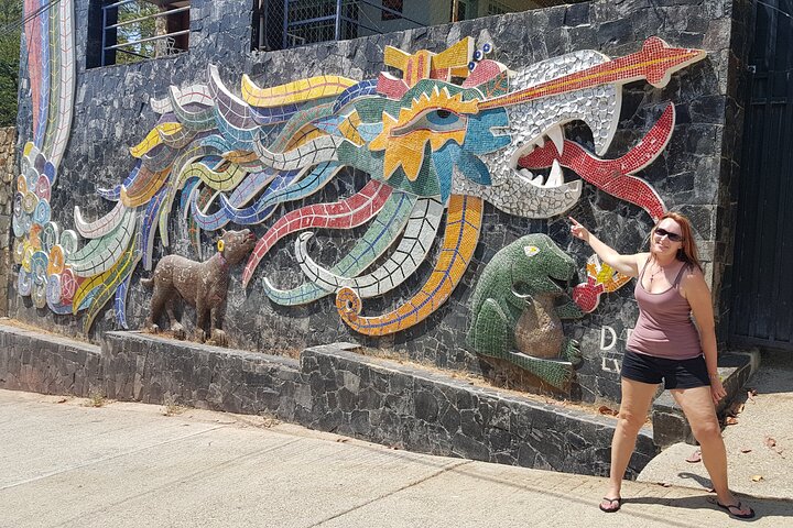 4 or 6Hr Discover Acapulco With a Fun Guide, Diver Show,Mex Lunch