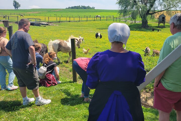Unique Amish Immersion in Lancaster