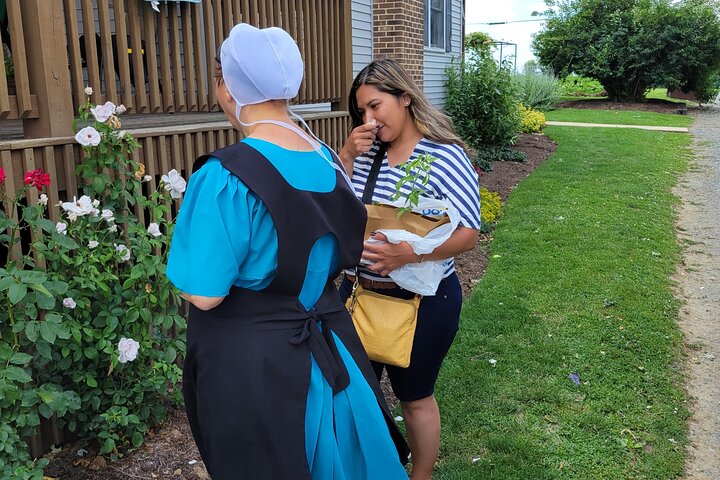 Authentic Tour & Meal with the Amish!