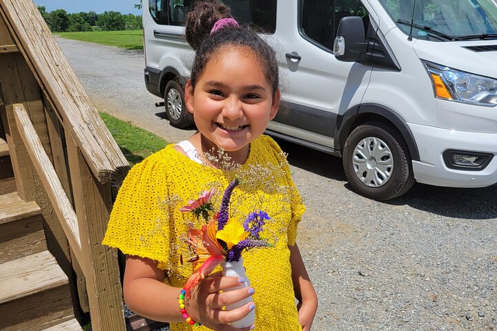 Authentic Tour & Meal with the Amish!