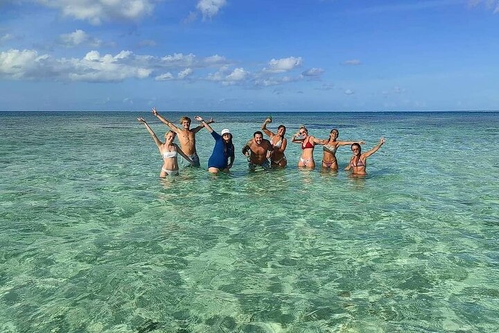 Discovery by boat of the Mangrove and its lagoon in 7 Stages including 4 Swimming