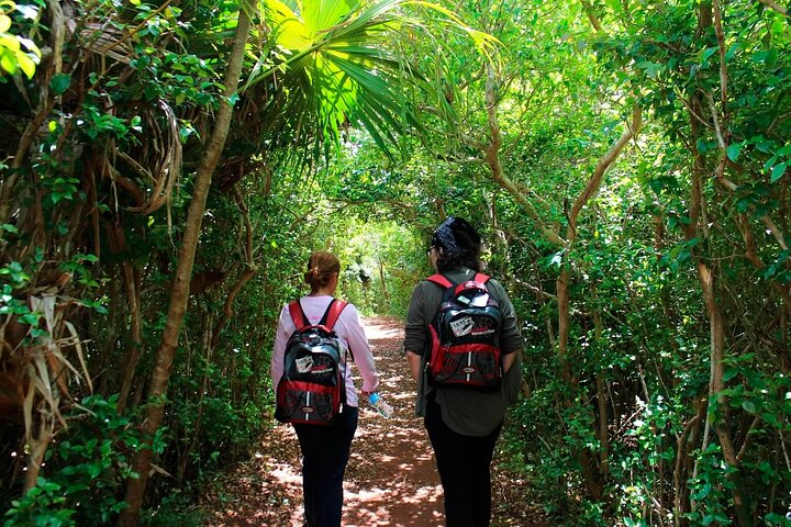 Bermuda Hidden Gems Summer Excursion