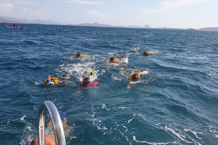 3-Days Sailing Komodo Island,Padar & Manta Point departure every Friday