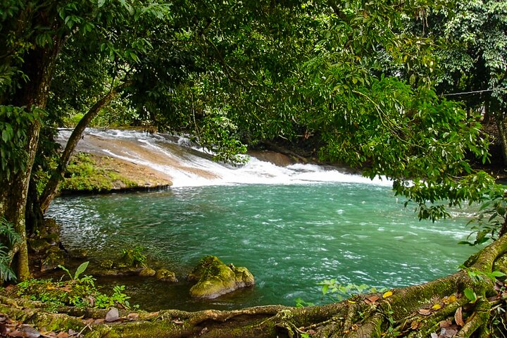 Yojoa Lake Area Day Trip From San Pedro Sula