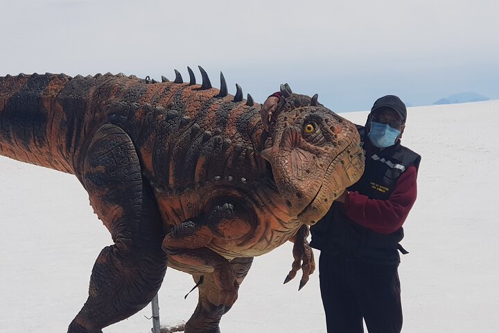3-Days Tour to the Uyuni Salt Flat and Colored Lagoons +Sunset+Mirror Effect