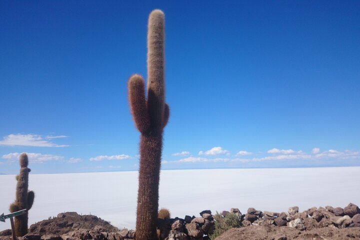 3-Days Tour to the Uyuni Salt Flat and Colored Lagoons +Sunset+Mirror Effect