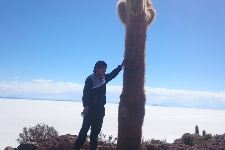 3-Days Tour to the Uyuni Salt Flat and Colored Lagoons +Sunset+Mirror Effect