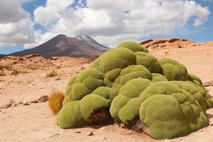 3-Days Tour to the Uyuni Salt Flat and Colored Lagoons +Sunset+Mirror Effect