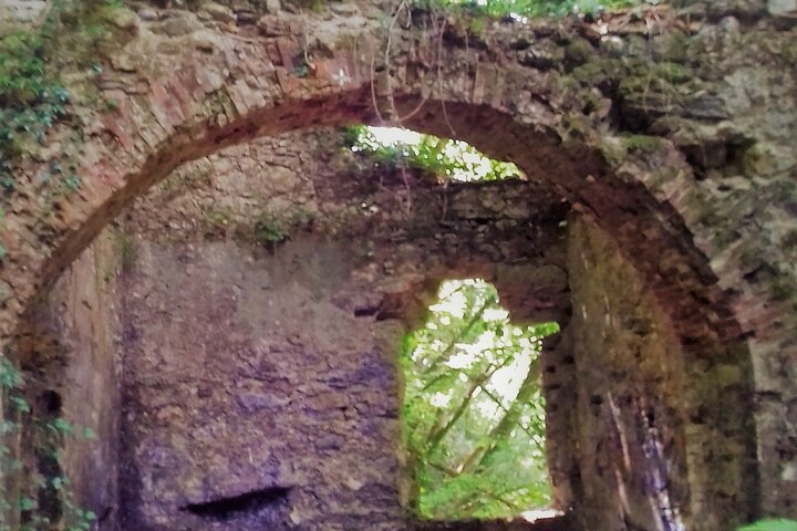 Guided visit to the magical waterfalls in the Candalla forest