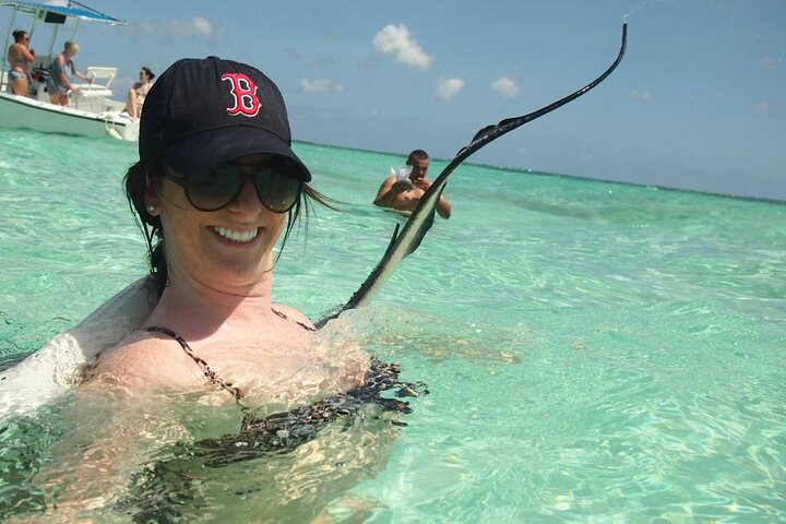Stingray City Experience Plus Two Snorkeling Stops on Grand Cayman