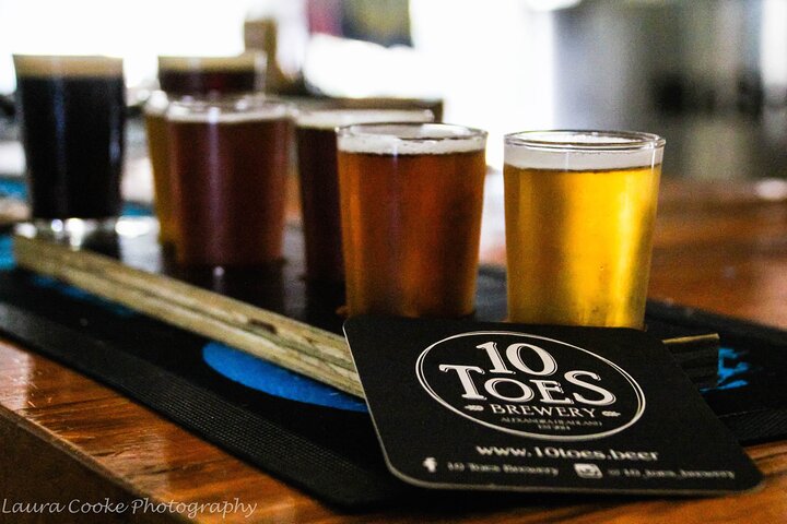 Craft Beer Excellence: Sunshine Coast Private Brewery Tour