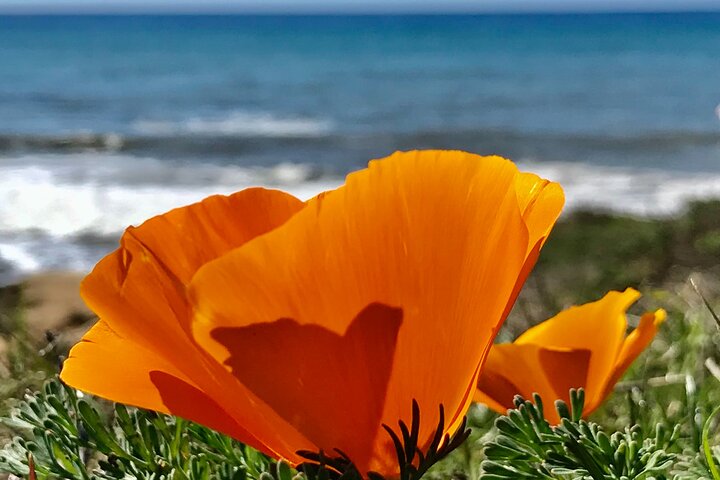 A La La Tour - Private Tour of California's Central Coast