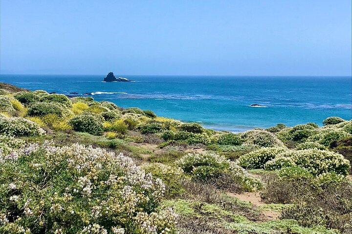 A La La Tour - Private Tour of California's Central Coast