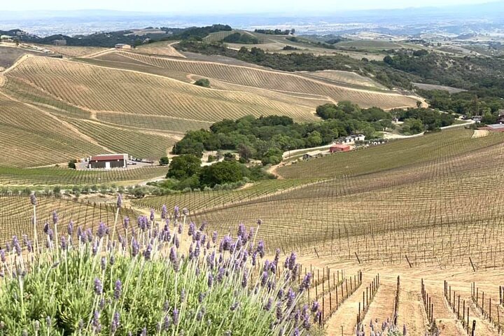 A La La Tour - Private Tour of California's Central Coast