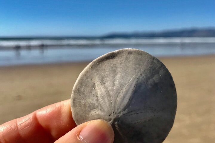 A La La Tour - Private Tour of California's Central Coast