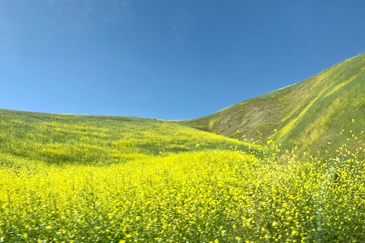 A La La Tour - Private Tour of California's Central Coast