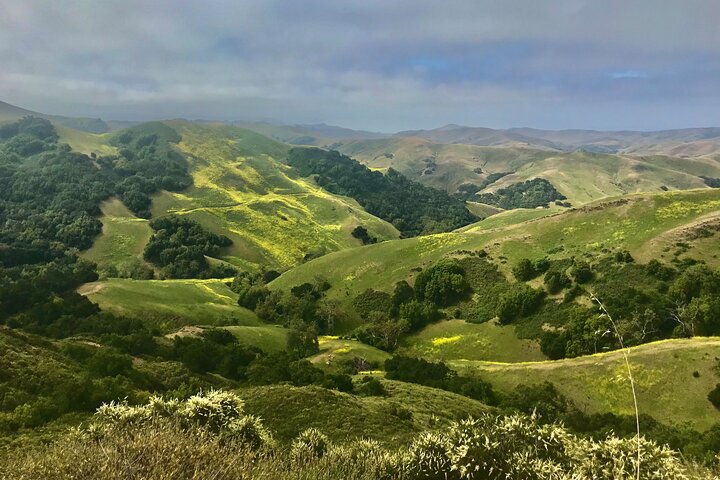 A La La Tour - Private Tour of California's Central Coast