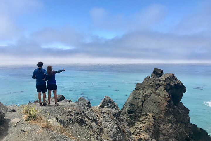 A La La Tour - Private Tour of California's Central Coast