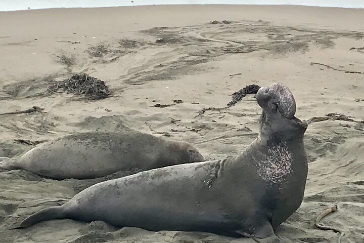 A La La Tour - Private Tour of California's Central Coast