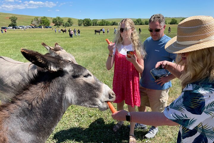 Exclusive: Rushmore, Custer State Park & Crazy Horse