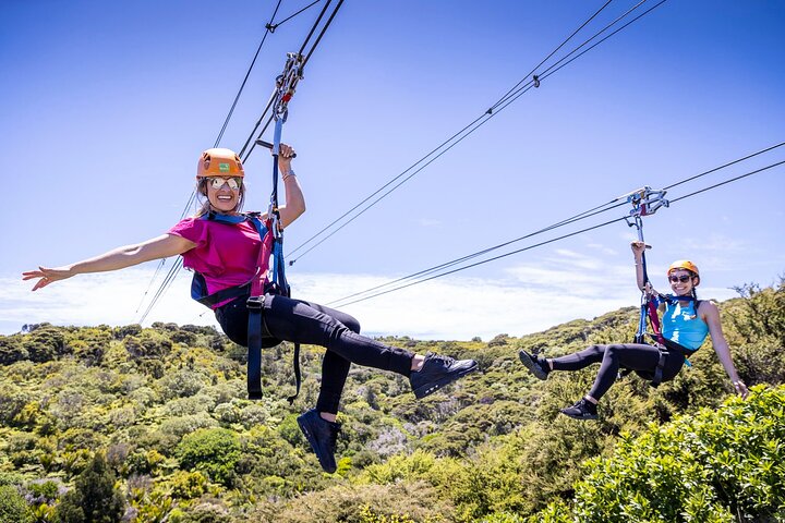 Waiheke Island: Zipline And Forest Walk