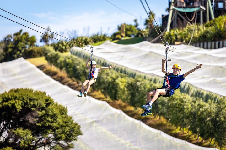 Waiheke Island: Zipline And Forest Walk