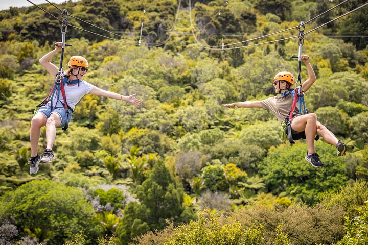 Waiheke Island: Zipline And Forest Walk