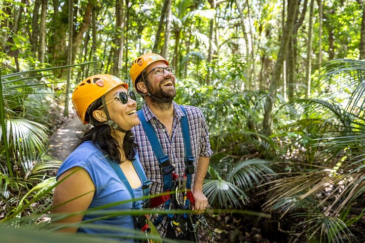 Waiheke Island: Zipline And Forest Walk