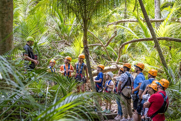Waiheke Island: Zipline And Forest Walk