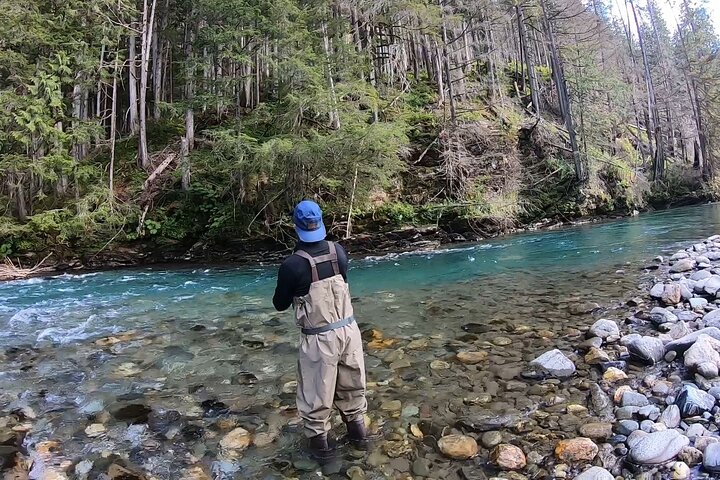 Half Day Walk&Wade (Fly-Fishing / Spin Casting from shore)