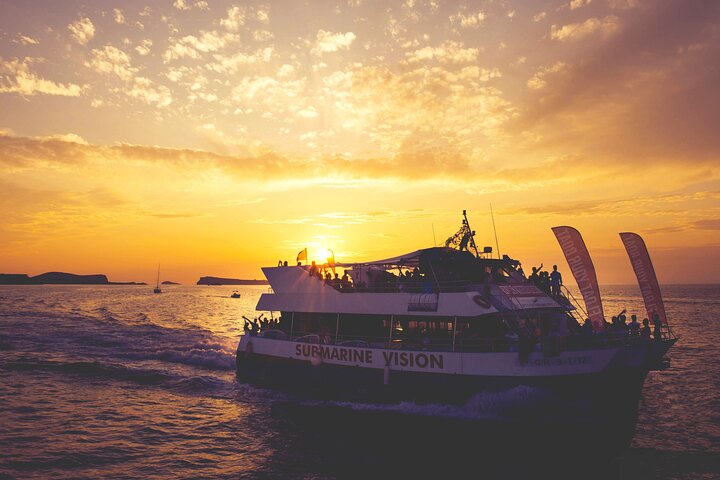 Ibiza Beach Hopping Cruise with Paddleboards, Drinks and Food 6h