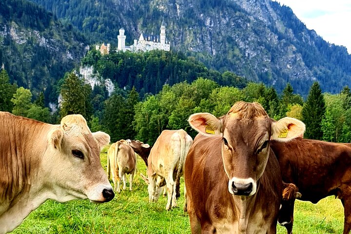 From Füssen: Neuschwanstein, Linderhof, and More Private Tour