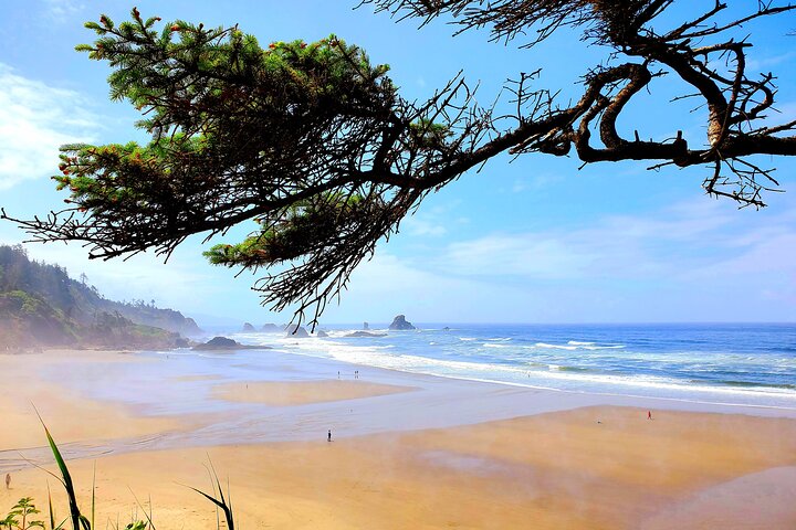 Full-Day Guided Oregon Coast Tour from Portland
