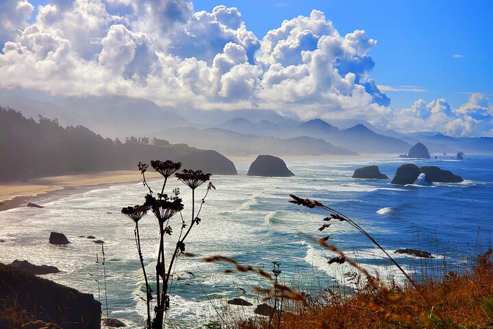 Full-Day Guided Oregon Coast Tour from Portland