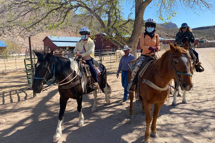 Horseback Ride Joshua Tree Forest Buffalo Lunch Singing Cowboy
