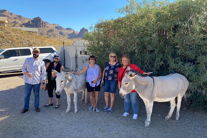 Oatman Mining Camp & Burros: Historic Route 66 Tour from Laughlin